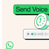 WhatsApp允许您发送只能播放一次的语音消息