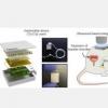 利用静电提高生物医学植入物的耐用性