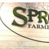 Sprouts Farmers Market计划在纳什维尔开设另一家商店