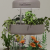 智能园艺盆概念使室内种植植物压力减轻