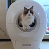 Petgugu 智能猫厕所评测