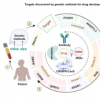 经过人类遗传学验证的有益功能丧失突变靶标的药物开发进展