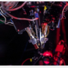 新的OpenScope项目旨在开拓神经科学的未来