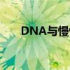 DNA与慢性广泛性关节痛之间的联系